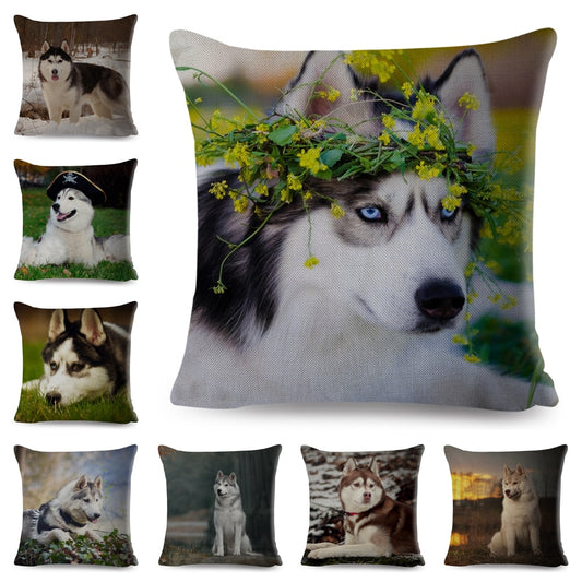 Funda de cojín con diseño de husky siberiano