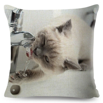 Funda de cojín decorativa de gato británico de pelo corto azul ruso