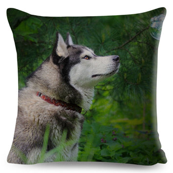 Funda de almohada con diseño de husky siberiano