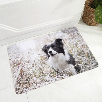 Felpudo antideslizante para puerta de perro, alfombra de franela para suelo