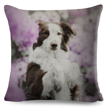 Bonita funda de almohada con estampado de perro, diseño de border collie escocés.
