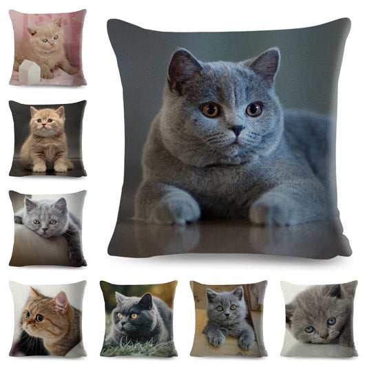 Funda de cojín decorativa de gato británico de pelo corto azul ruso