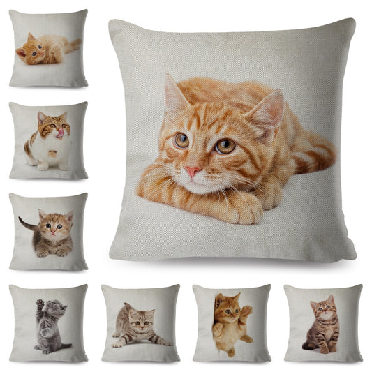 Bonita funda de almohada con diseño de gato, adorable estampado de animal doméstico