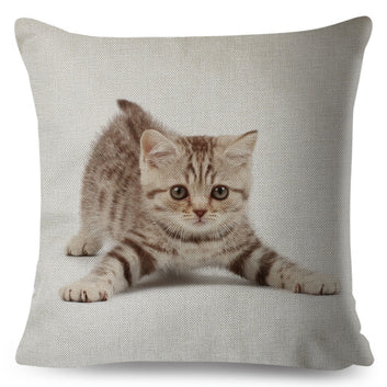 Bonita funda de almohada con diseño de gato, adorable estampado de animal doméstico