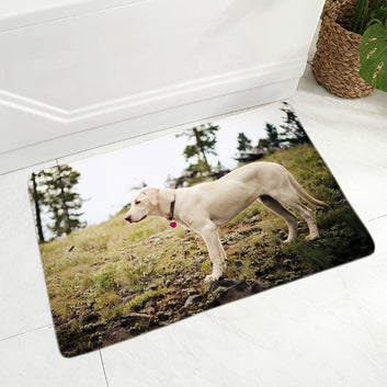 Lindo felpudo para puerta con diseño de labrador, decoración para mascotas, felpudo para perro