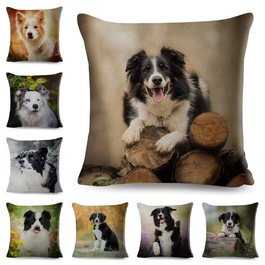 Bonita funda de almohada con estampado de perro, diseño de border collie escocés.