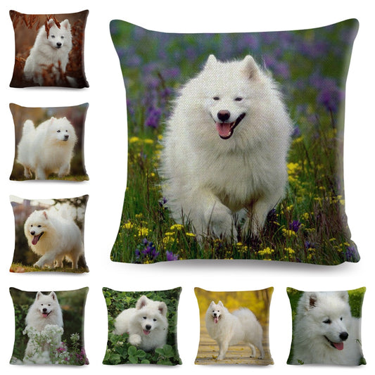 Bonita funda de cojín con diseño de perro samoyedo blanco