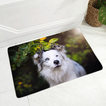 Felpudo decorativo para perro, diseño de border collie escocés