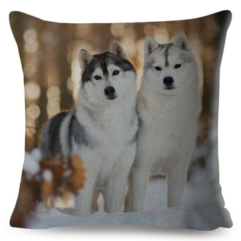 Bonita funda de cojín con estampado de perro, mascota husky siberiano.