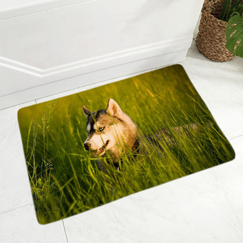 Alfombra de franela con diseño de perro husky siberiano, decoración para puerta de casa