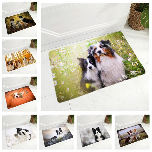 Felpudo decorativo para perro Border Collie de Escocia