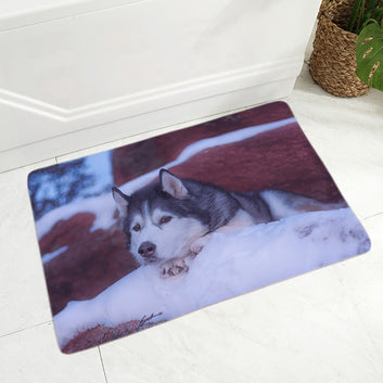 Alfombra de franela para mascotas
