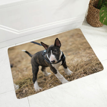 Felpudo decorativo para perro Pit Bull Terrier de Inglaterra