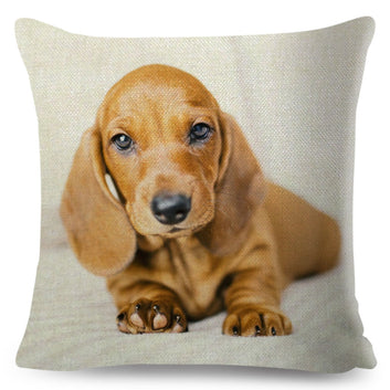 Funda de cojín decorativa con diseño de perro salchicha miniatura