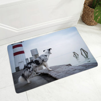 Felpudo decorativo para perro Border Collie de Escocia
