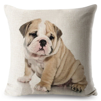 Bonita funda de cojín con diseño de bulldog francés y animales.