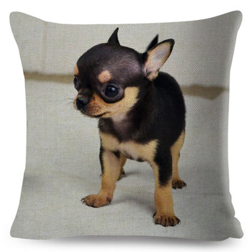 Bonita funda de cojín con diseño de perrito chihuahua