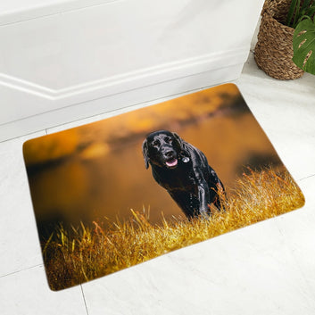 Felpudo decorativo con diseño de perro labrador negro bonito