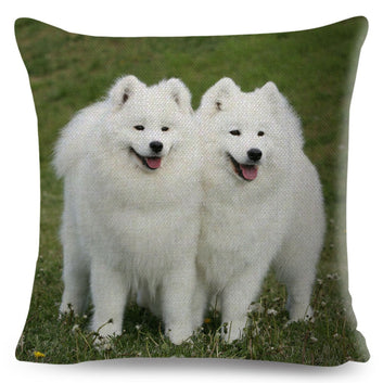 Bonita funda de cojín con diseño de perro samoyedo blanco