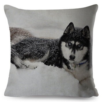 Funda de cojín con diseño de husky siberiano