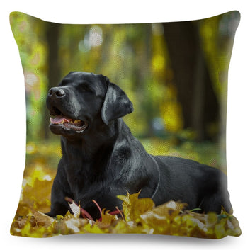 Bonita funda de almohada con diseño de perro labrador negro, funda de cojín con estampado de animal doméstico