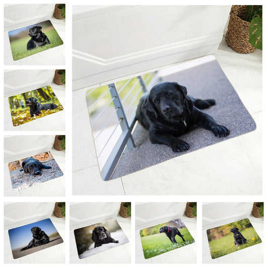 Felpudo decorativo con diseño de perro labrador negro bonito