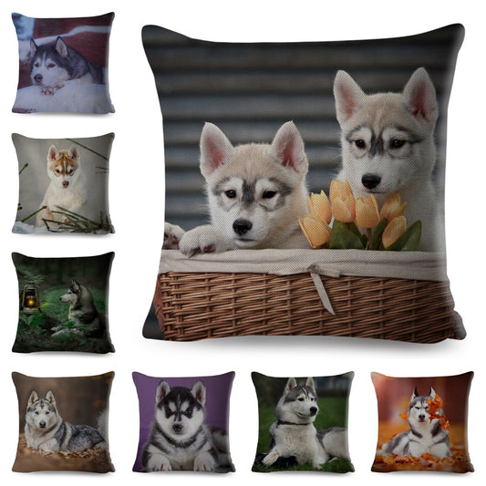 Bonita funda de cojín con estampado de perro, mascota husky siberiano.