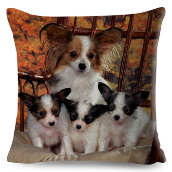 Funda de cojín con estampado de perro Papillon de España