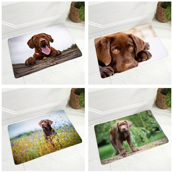 Lindo felpudo para puerta de labrador, decoración para perro mascota, felpudo de animal