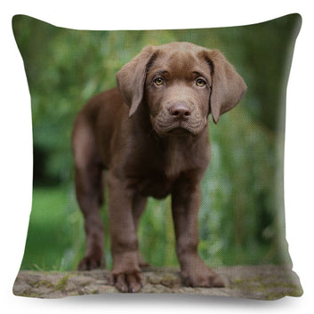 Funda de almohada con estampado de labrador marrón