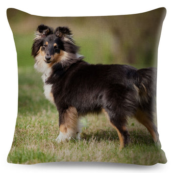 Bonita funda de almohada con estampado de perro pastor de Shetland