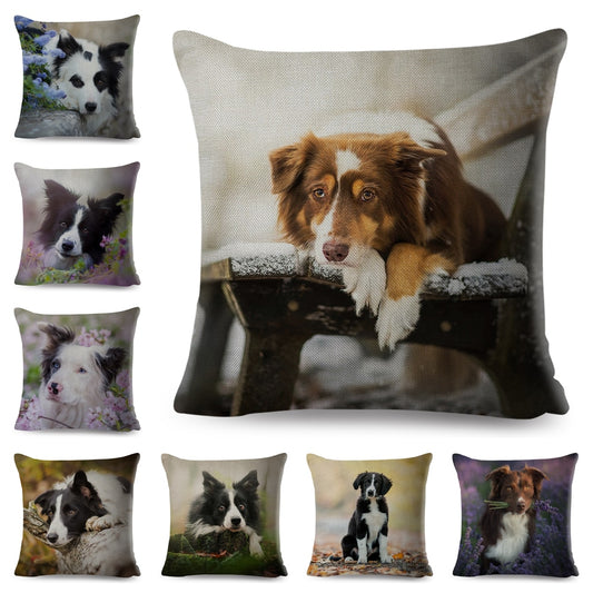 Funda de almohada con estampado de perro y border collie escocés