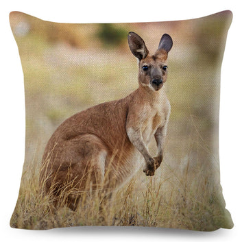 Funda de cojín de canguro australiano con decoración de animales salvajes