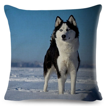 Funda de cojín con estampado de perro husky siberiano
