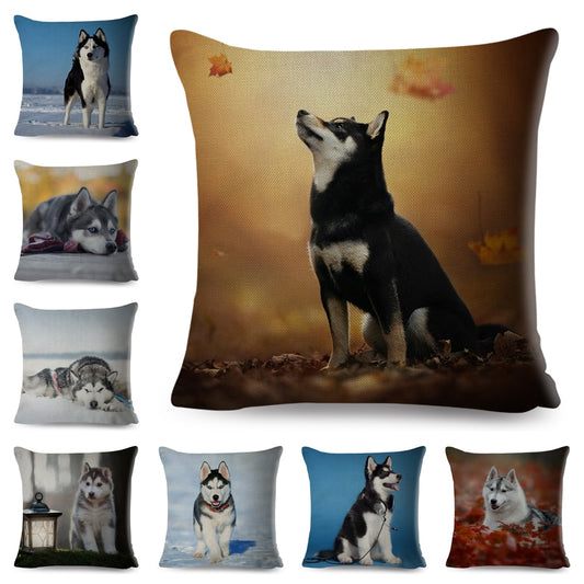 Funda de cojín con estampado de perro husky siberiano