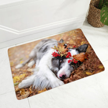 Felpudo decorativo con diseño de border collie escocés para puerta de casa o de perro.