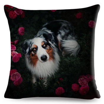 Funda de almohada con estampado de perro y border collie escocés