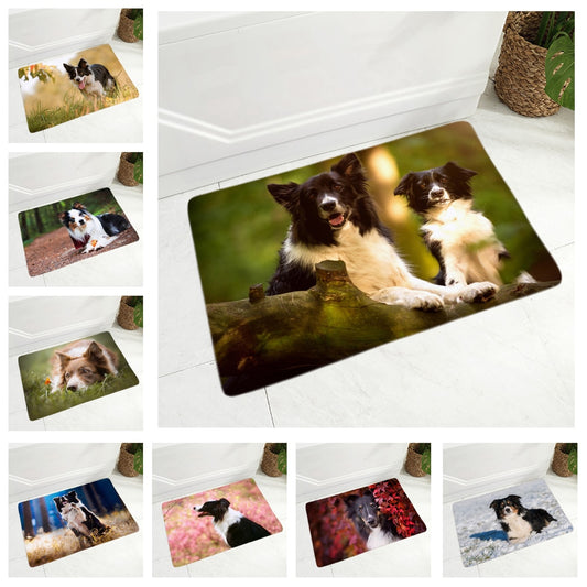 Felpudo decorativo con diseño de border collie escocés para puerta de casa o de perro.