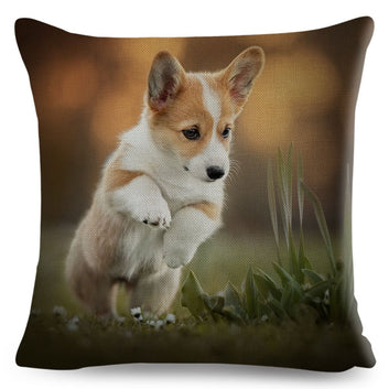 Bonita funda de almohada con estampado de perro galés Corgi Pembroke